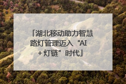 湖北移动助力智慧路灯管理迈入“AI＋灯链”时代