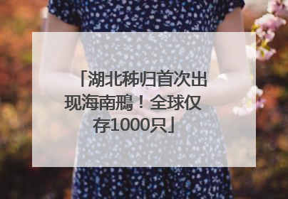 湖北秭归首次出现海南鳽！全球仅存1000只