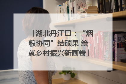 湖北丹江口：“烟粮协同”结硕果 绘就乡村振兴新画卷