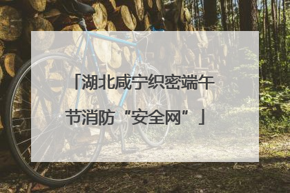 湖北咸宁织密端午节消防“安全网”