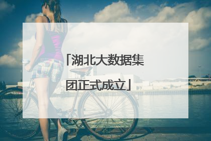 湖北大数据集团正式成立