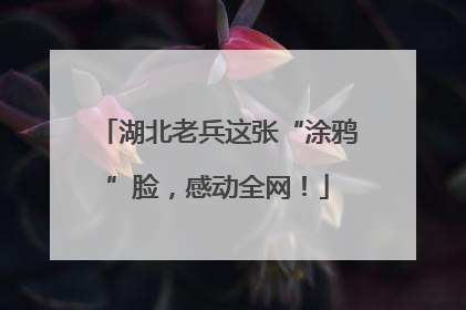湖北老兵这张“涂鸦”脸，感动全网！