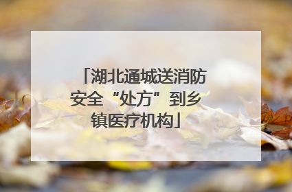 湖北通城送消防安全“处方”到乡镇医疗机构