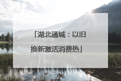湖北通城：以旧换新激活消费热