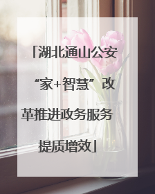 湖北通山公安“家+智慧”改革推进政务服务提质增效