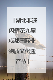 湖北非遗闪耀第九届成都国际非物质文化遗产节
