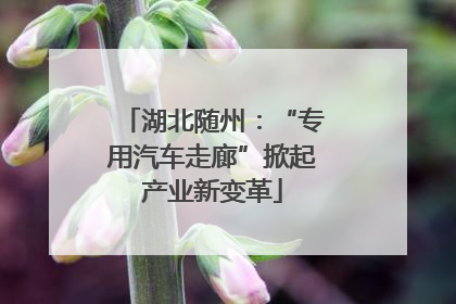 湖北随州：“专用汽车走廊”掀起产业新变革