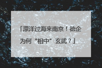 漂洋过海来南京！德企为何“相中”玄武？