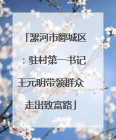 漯河市郾城区：驻村第一书记王元明带领群众走出致富路