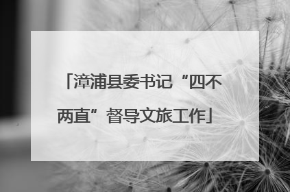 漳浦县委书记“四不两直”督导文旅工作