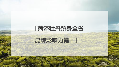 菏泽牡丹跻身全省品牌影响力第一
