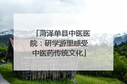 菏泽单县中医医院：研学游里感受中医药传统文化