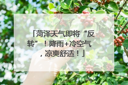 菏泽天气即将“反转”！降雨+冷空气，凉爽舒适！