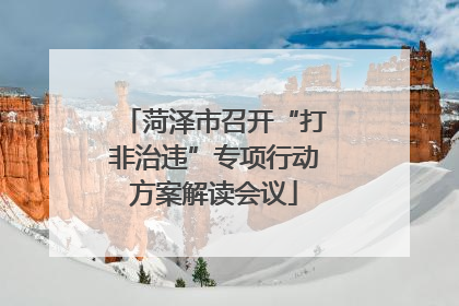菏泽市召开“打非治违”专项行动方案解读会议