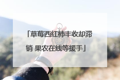 草莓西红柿丰收却滞销 果农在线等援手