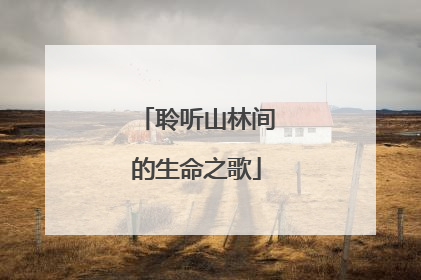 聆听山林间的生命之歌