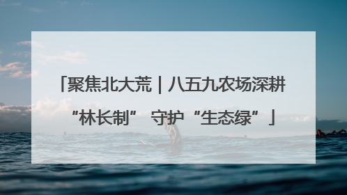 聚焦北大荒｜八五九农场深耕“林长制” 守护“生态绿”