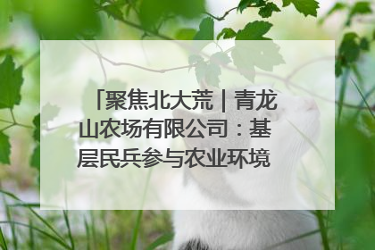 聚焦北大荒｜青龙山农场有限公司：基层民兵参与农业环境综合治理显效