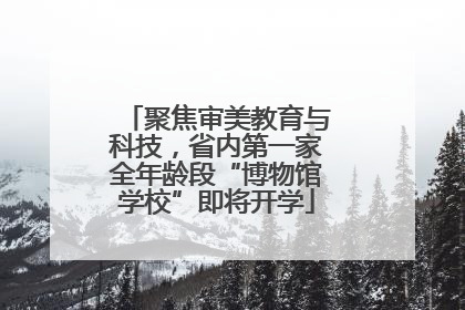 聚焦审美教育与科技，省内第一家全年龄段“博物馆学校”即将开学