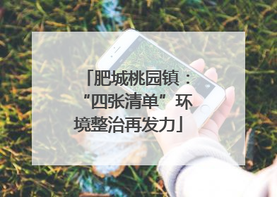 肥城桃园镇：“四张清单”环境整治再发力