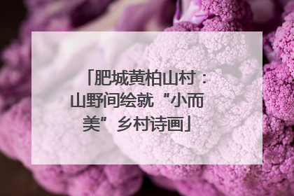肥城黄柏山村：山野间绘就“小而美”乡村诗画