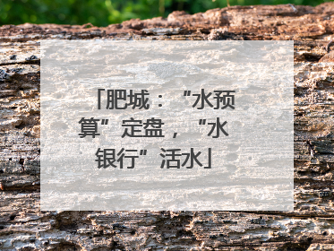 肥城：“水预算”定盘，“水银行”活水