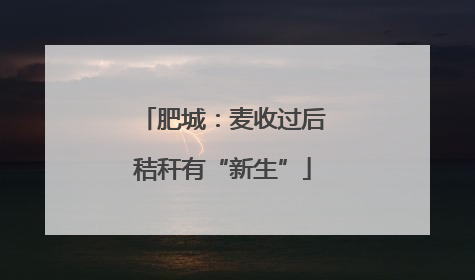 肥城：麦收过后秸秆有“新生”