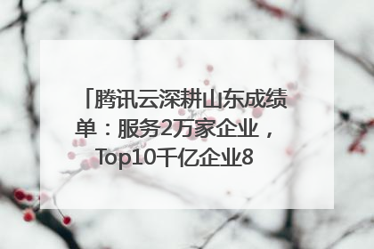 腾讯云深耕山东成绩单：服务2万家企业，Top10千亿企业8家选择腾讯云