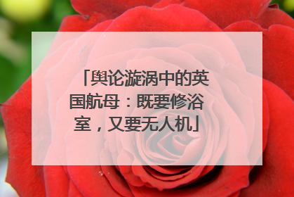 舆论漩涡中的英国航母：既要修浴室，又要无人机