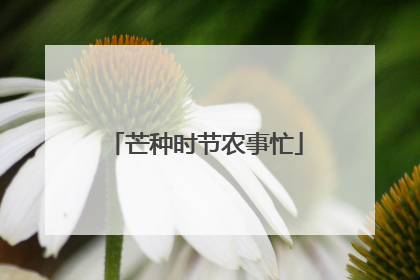 芒种时节农事忙