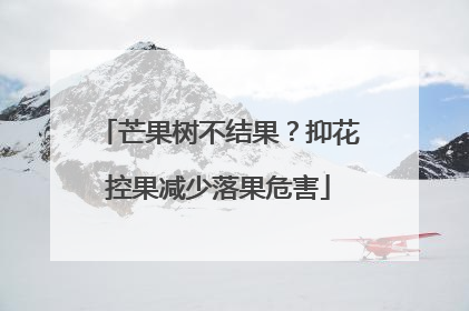 芒果树不结果？抑花控果减少落果危害