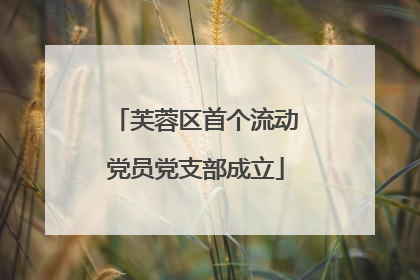 芙蓉区首个流动党员党支部成立