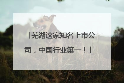 芜湖这家知名上市公司，中国行业第一！