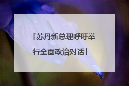 苏丹新总理呼吁举行全面政治对话