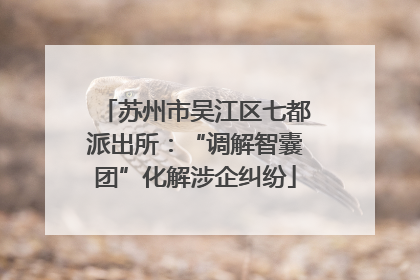 苏州市吴江区七都派出所：“调解智囊团”化解涉企纠纷