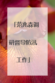 范兆森调研督导防汛工作