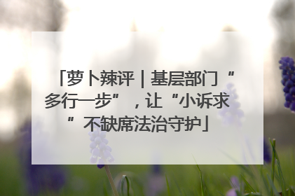 萝卜辣评｜基层部门“多行一步”，让“小诉求”不缺席法治守护