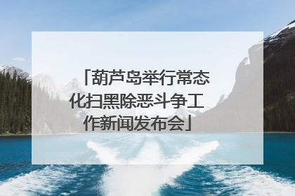 葫芦岛举行常态化扫黑除恶斗争工作新闻发布会