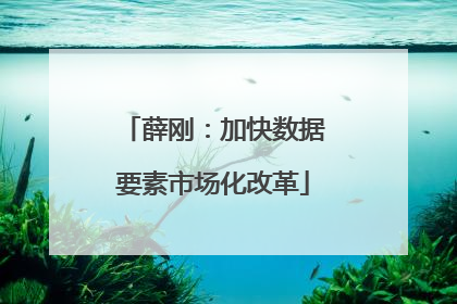 薛刚：加快数据要素市场化改革