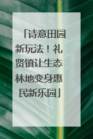 诗意田园新玩法！礼贤镇让生态林地变身惠民新乐园