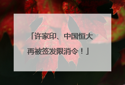 许家印、中国恒大再被签发限消令！