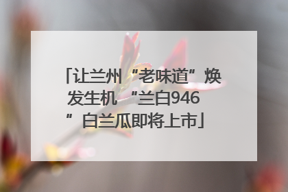 让兰州“老味道”焕发生机 “兰白946”白兰瓜即将上市