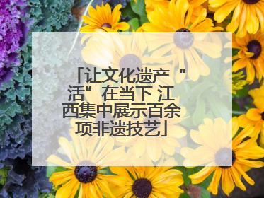 让文化遗产“活”在当下 江西集中展示百余项非遗技艺