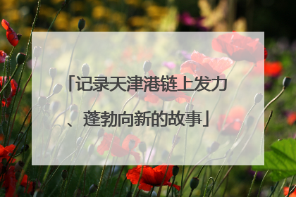 记录天津港链上发力、蓬勃向新的故事