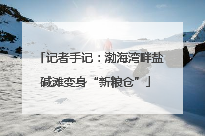 记者手记：渤海湾畔盐碱滩变身“新粮仓”