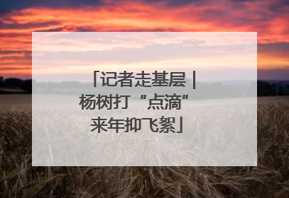 记者走基层｜杨树打“点滴” 来年抑飞絮