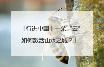 行进中国丨一朵“云”如何激活山水之城？