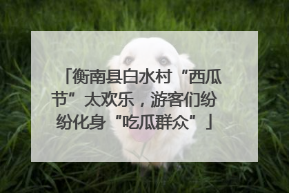 衡南县白水村“西瓜节”太欢乐，游客们纷纷化身“吃瓜群众”