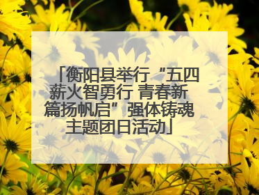 衡阳县举行“五四薪火智勇行 青春新篇扬帆启”强体铸魂主题团日活动