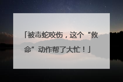 被毒蛇咬伤，这个“救命”动作帮了大忙！